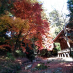 紅葉狩り