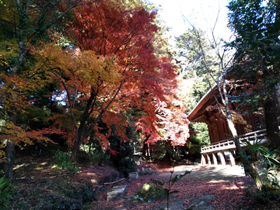 紅葉狩り