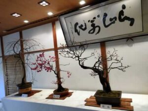 梅花展