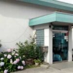 デイサービスの紫陽花